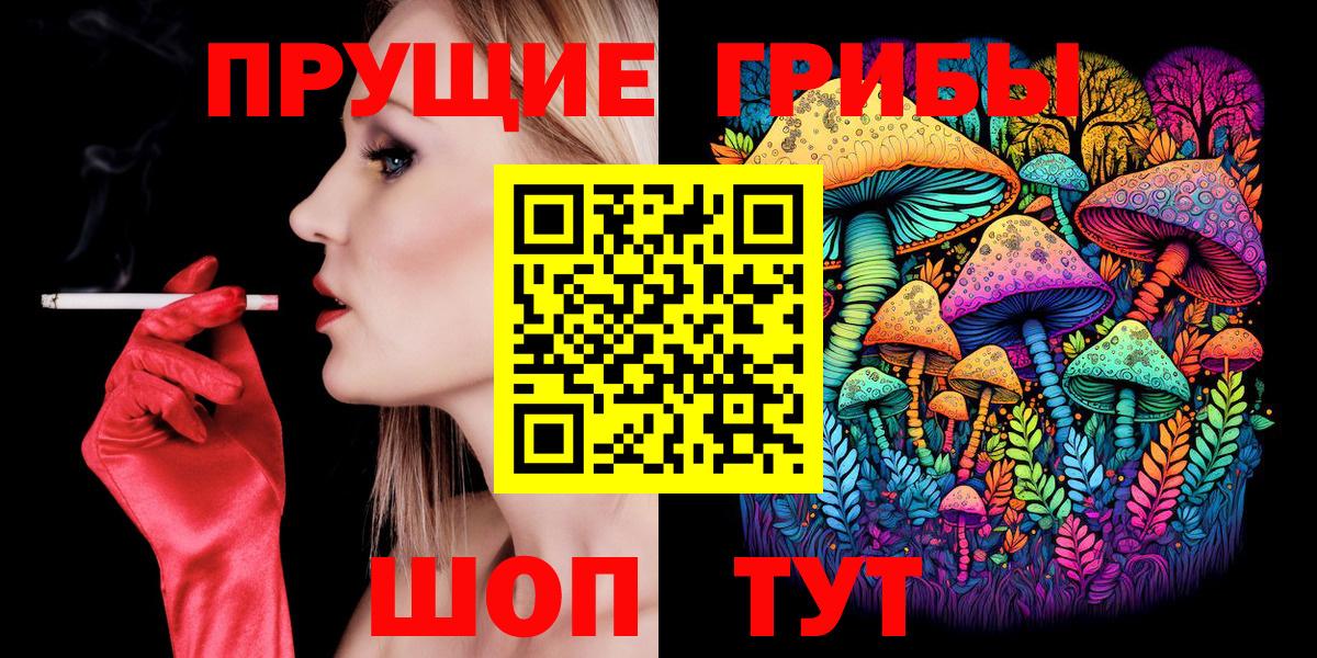 Псилоцибиновые грибы Psilocybe Астрахань