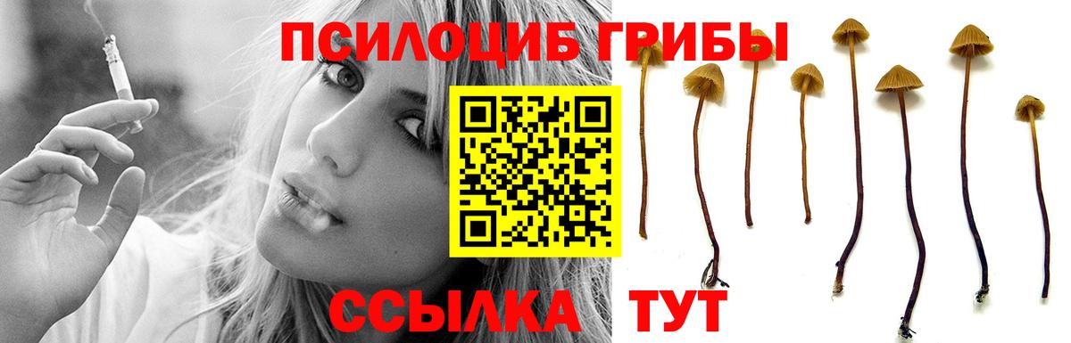 Астрахань  Галлюциногенные грибы Psilocybine cubensis  Вход с VPN  дарнет шоп  Псилоцибиновые грибы Psilocybe 